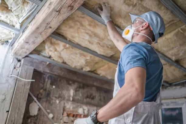 Best Insulation for Specific Applications in Cascade, ID